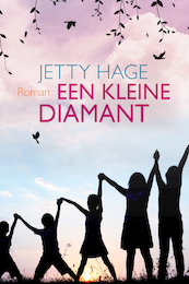Een kleine diamant - Jetty Hage (ISBN 9789020537451)