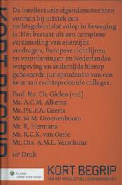 Kort begrip van het intellectuele eigendomsrecht - Drucker, Wichers Hoeth, Bodenhausen (ISBN 9789013056884)