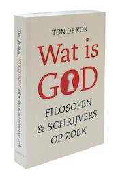Wat is God - Ton de Kok (ISBN 9789068686333)