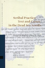 Scribal Practice, Text and Canon in the Dead Sea Scrolls - (ISBN 9789004410725)