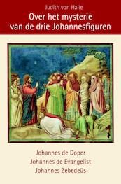 Over het mysterie van Lazarus en de drie Johannesfiguren - Judith von Halle (ISBN 9789491748080)