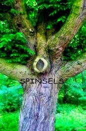 Spinsels - Joop Strous (ISBN 9789463184564)