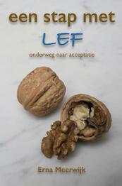 Een stap met lef - Erna Meerwijk (ISBN 9789463421119)