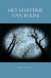 HET MYSTERIE VAN 16 JUNI - Gert Veltkamp (ISBN 9789402195286)