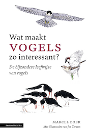 Wat maakt vogels zo interessant - Marcel Boer (ISBN 9789050117500)