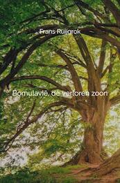 Bomulavië, de verloren zoon # - Frans Ruijgrok (ISBN 9789464486636)