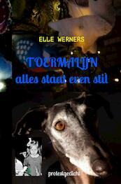 TOERMALIJN - Elle Werners (ISBN 9789464851038)