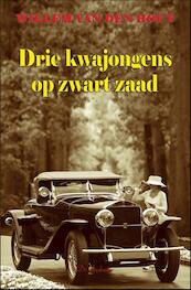 Drie kwajongens op zwart zaad - Willy van der Heide (ISBN 9789086060405)