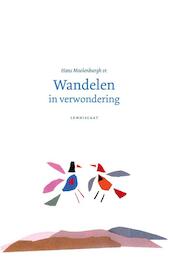 Wandelen in verwondering - Hans Moolenburgh Sr. (ISBN 9789047707691)