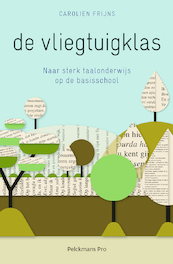 De vliegtuigklas - Carolien Frijns (ISBN 9789463371568)
