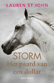 Storm 1 Het paard van een dollar - Lauren St John (ISBN 9789025766603)