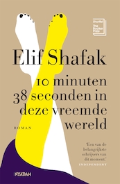 10 minuten 38 seconden in deze vreemde wereld - Elif Shafak (ISBN 9789046826270)