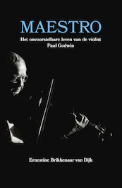 Maestro - Ernestine Brikkenaar van Dijk (ISBN 9789065234537)