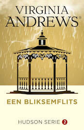 Een bliksemflits - Virginia Andrews (ISBN 9789026157561)