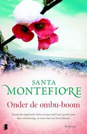 Onder de ombu-boom - Santa Montefiore (ISBN 9789022568811)