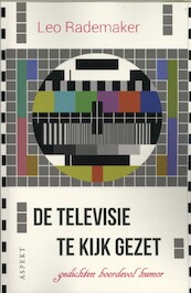 De televisie te kijk gezet - Leo Rademaker (ISBN 9789463384032)