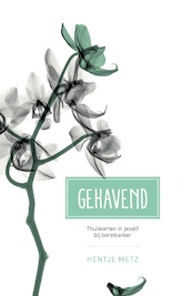 Gehavend - Hentje Metz (ISBN 9789492613042)