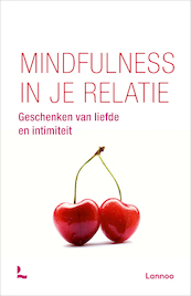 Mindfulness in je relatie - David Dewulf (ISBN 9789401400336)