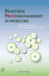 Praktisch procesmanagement in projecten - Caroline Kuijper (ISBN 9789491490019)