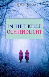 In het kille ochtendlicht - Anthonie Holslag (ISBN 9789463080644)