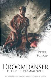 Vlammenzee - Peter Schaap (ISBN 9789463080811)