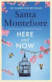 Here and Now - Santa Montefiore (ISBN 9781471169670)