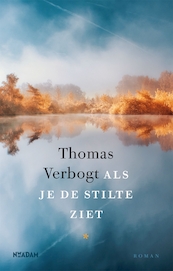 Als je de stilte ziet - Thomas Verbogt (ISBN 9789046826638)