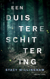 Duistere schittering - Stacy Willingham (ISBN 9789403172415)
