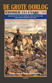 De verdwijning van Jules Hedeman in historische context - Tim van Hooff (ISBN 9789463389532)