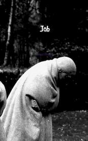 Job - Henk Fonteyn (ISBN 9789402116830)