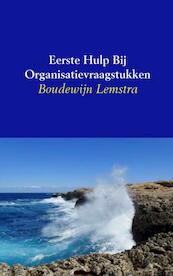 Eerste hulp bij organisatievraagstukken - Boudewijn Lemstra (ISBN 9789402128048)