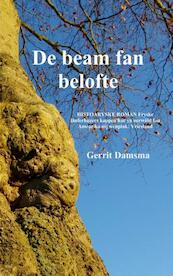 De beam fan belofte - Gerrit Damsma (ISBN 9789402162585)