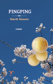 Pingping - Mariët Meester (ISBN 9789090327907)