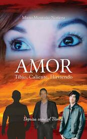 Amor Tibio Caliente Hirviendo - Mirna Del Valle Montaño Noriega (ISBN 9789403612867)