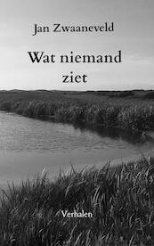 Wat niemand ziet - Jan Zwaaneveld (ISBN 9789464355147)