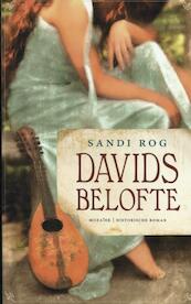 Davids belofte - Sandi Rog (ISBN 9789023994275)