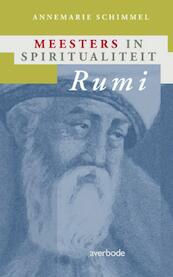 Meesters in Spiritualiteit Rumi - Annemarie Schimmel (ISBN 9789031718566)
