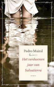 Het verdwenen jaar van Salvatierra - Pedro Mairal (ISBN 9789025369453)
