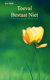 Toeval Bestaat NIet - Eva Wolf (ISBN 9789082303216)