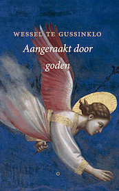 Aangeraakt door goden - Wessel te Gussinklo (ISBN 9789083262178)