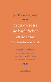 In de schaduw van Dordt [1618-1619] - Emiel Lambregts (ISBN 9789056255107)