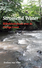 Stromend Water - Evelien van Vliet (ISBN 9789087599287)