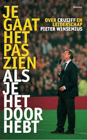 Je gaat het pas zien als je het doorhebt - Pieter Winsemius (ISBN 9789460034992)