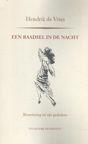 Een raadsel in de nacht - Hendrik de Vries (ISBN 9789492395269)