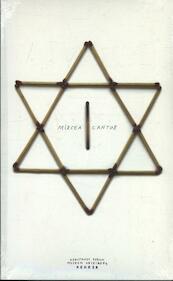 Mircea Cantor - Mircea Cantor (ISBN 9783868281071)