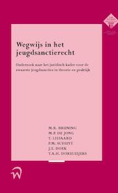 Wegwijs in het jeugdsanctierecht - M.R. Bruning, M.P. de Jong, T. Liefaard, P.M. Schuyt, J.E. Doek, T.A.H. Doreleijers (ISBN 9789058506214)