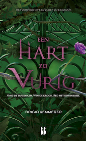 Een hart zo vurig - Brigid Kemmerer (ISBN 9789463492317)