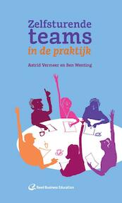 Zelfsturende teams in de praktijk - Astrid Vermeer, Ben Wenting (ISBN 9789035238312)