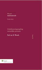 Schuldsaneringsregeling natuurlijke personen - B. Wessels (ISBN 9789013114034)