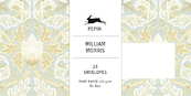 William Morris - Pepin van Roojen (ISBN 9789460093647)